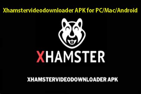 xhamper|Newest Porn Videos & Free Sex Movies